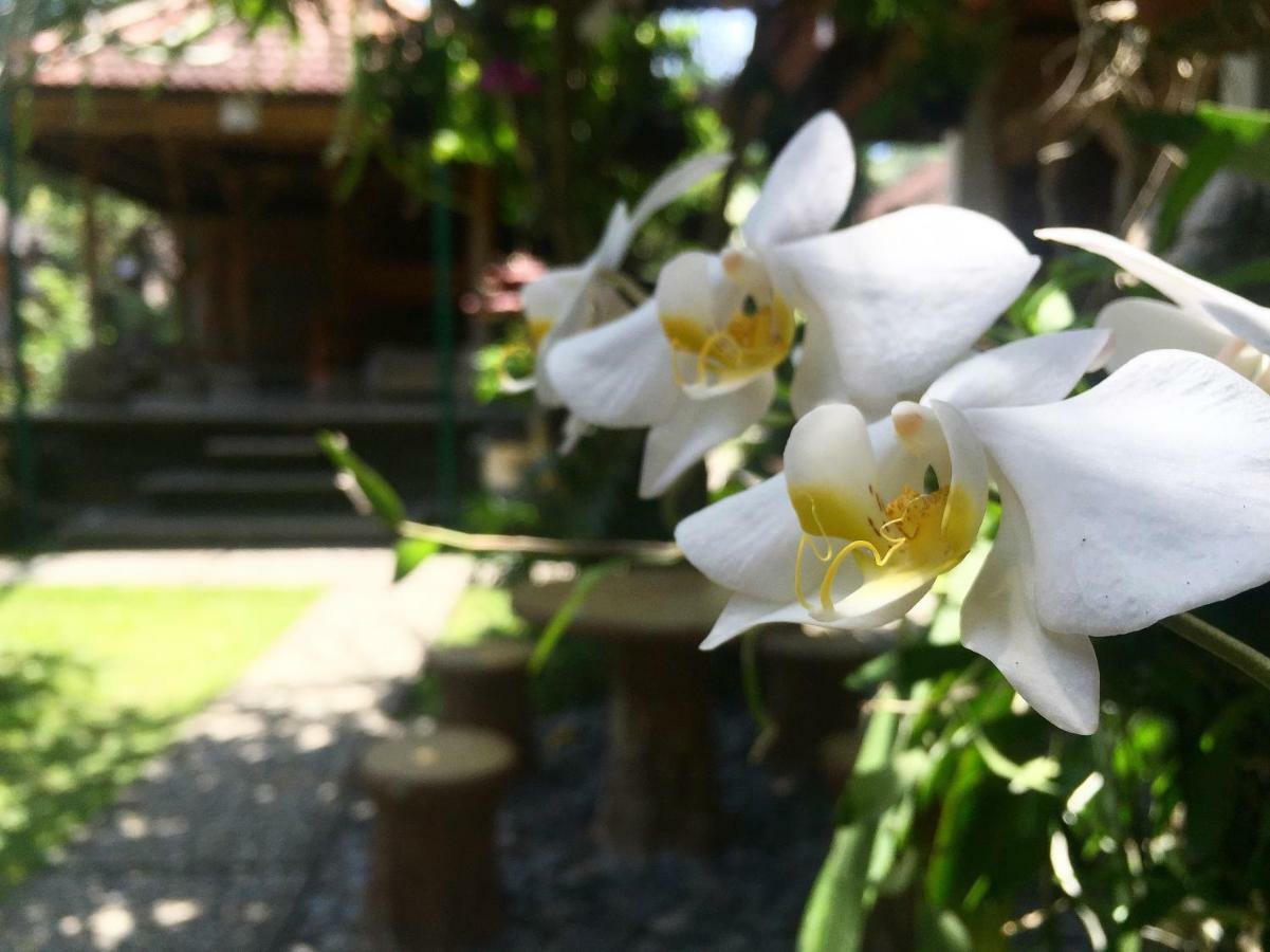 Tungeh Inn Ubud Exterior foto